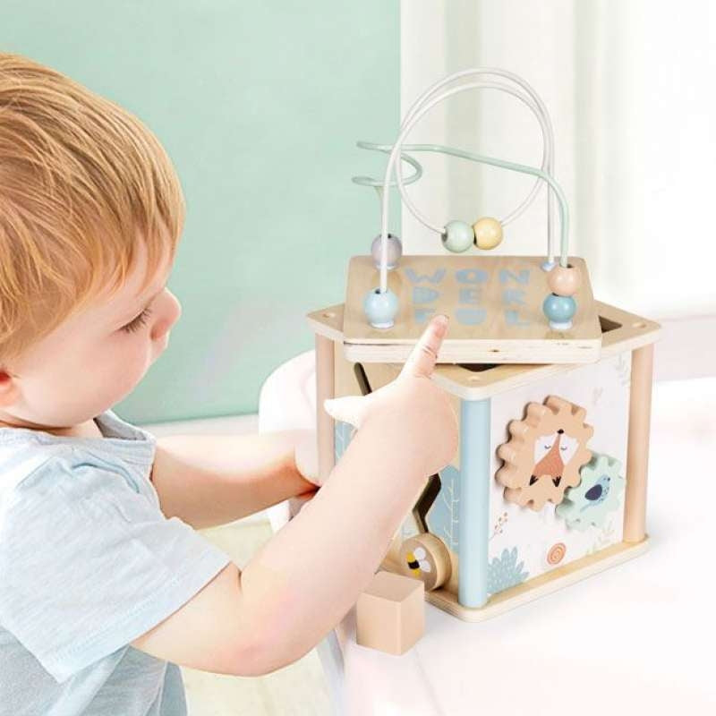 Eco Toys drvena edukativna kocka sorter 1001