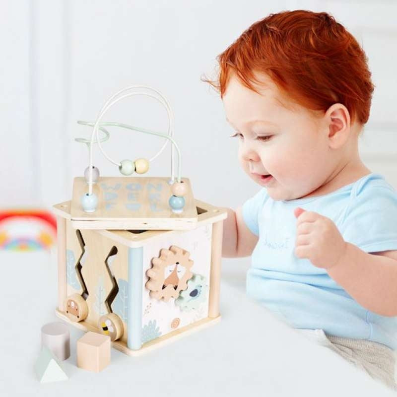 Eco Toys drvena edukativna kocka sorter 1001