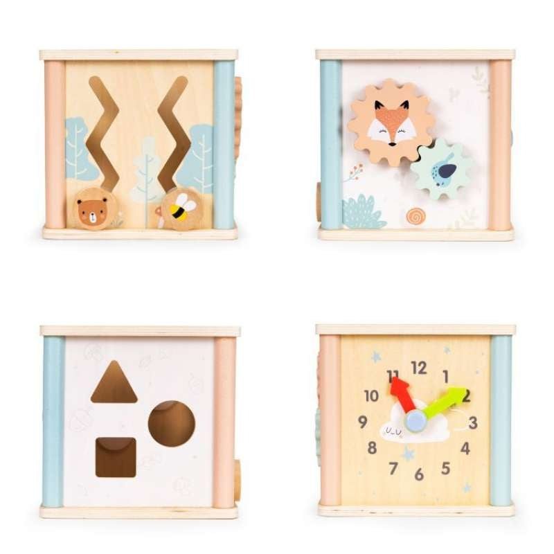 Eco Toys drvena edukativna kocka sorter 1001