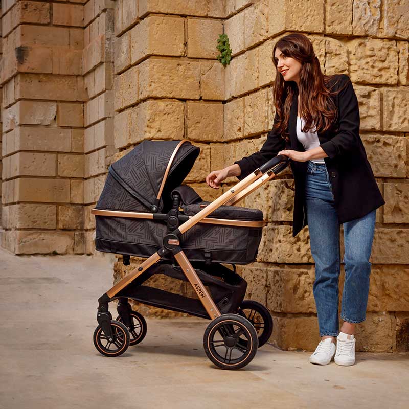 Chipolino Aspen 2u1 kombinovana kolica - www.bebimarket.rs