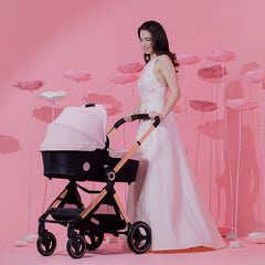 3u1 Kolica za bebe Chipolino Elite - www.decjibazar.rs